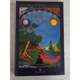    TRAIND  IN  TAO / PROFESORUL - Maestrul Neantului  -  Bucuresti Tao, 2003 